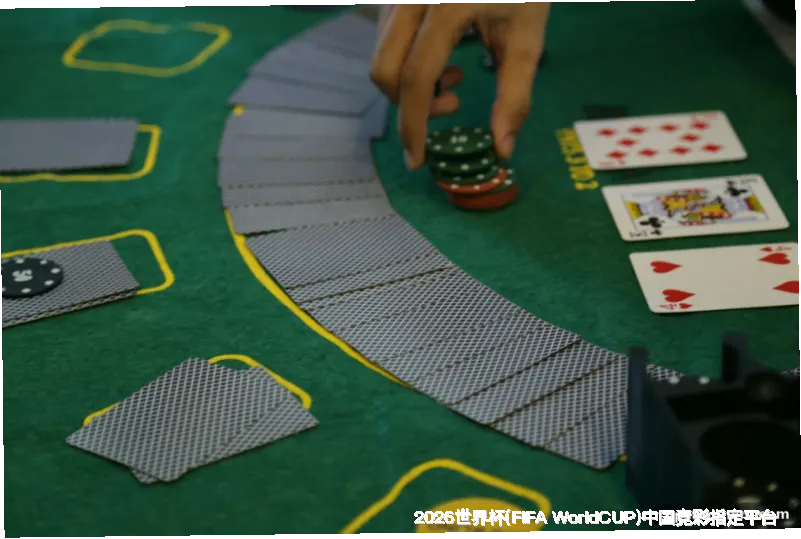 核心团队与专业资质